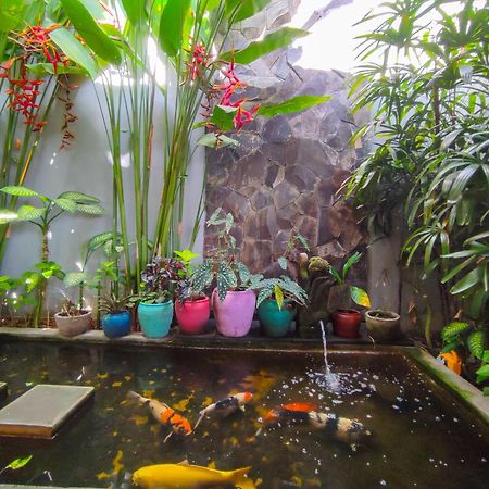 Villa Maya Ubud, Peaceful Rice Field View エクステリア 写真
