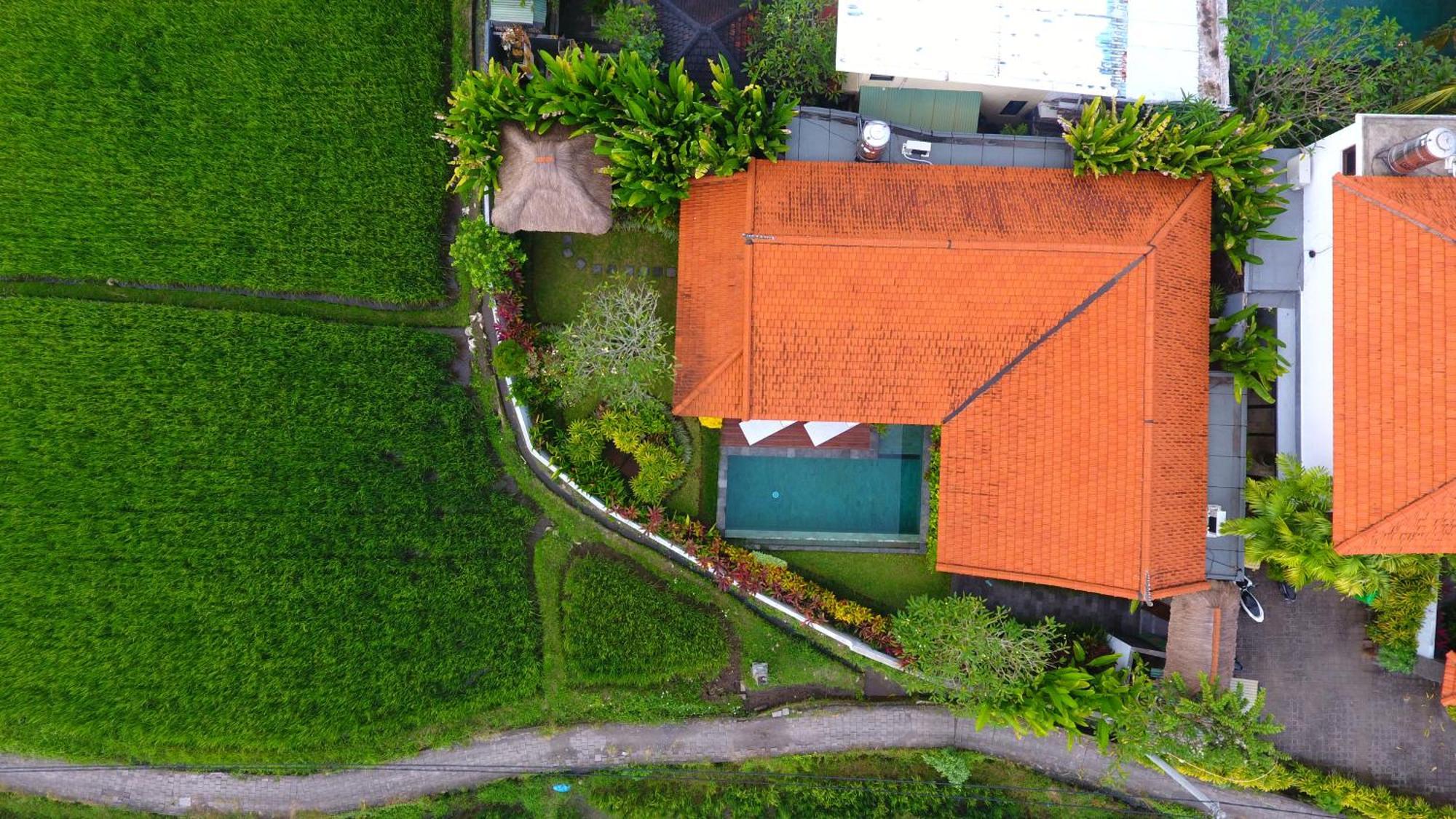 Villa Maya Ubud, Peaceful Rice Field View エクステリア 写真