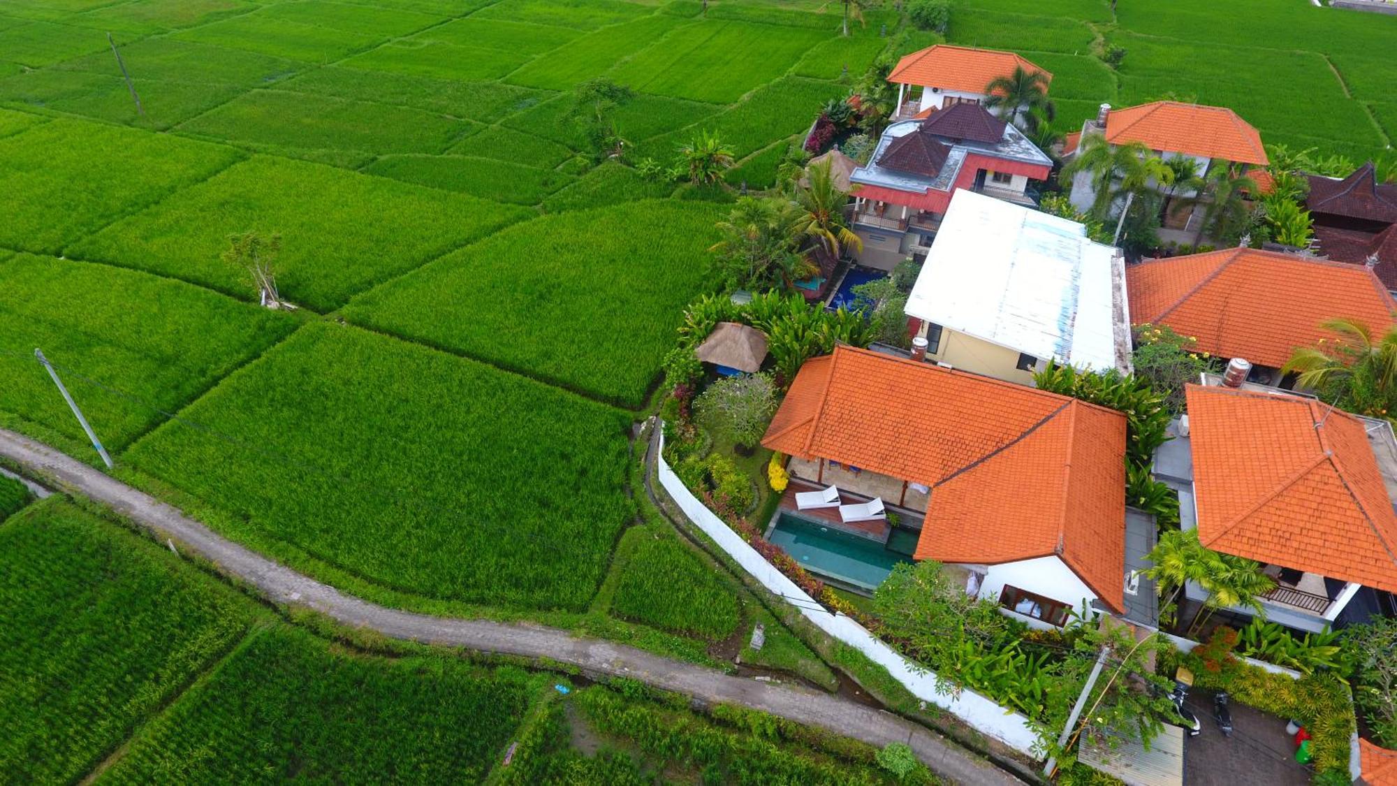 Villa Maya Ubud, Peaceful Rice Field View エクステリア 写真