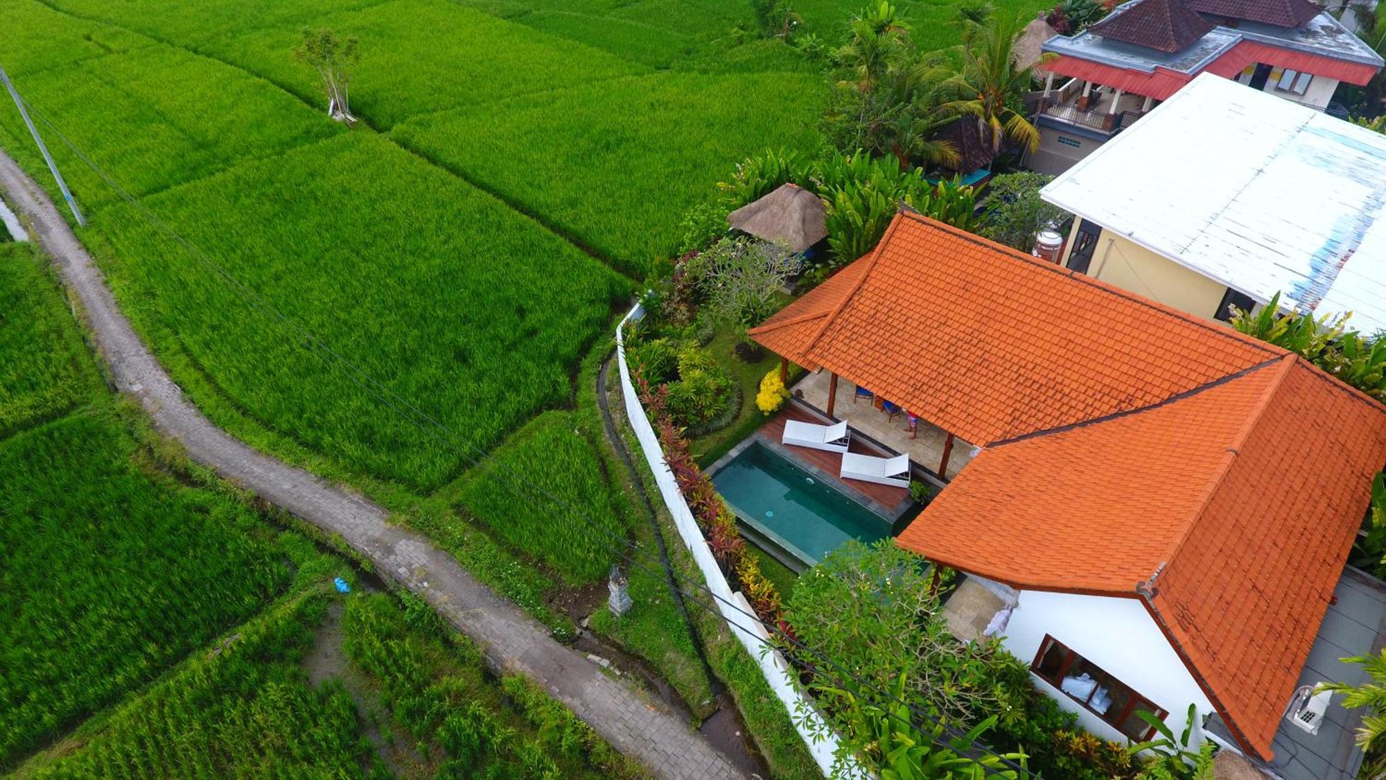 Villa Maya Ubud, Peaceful Rice Field View エクステリア 写真